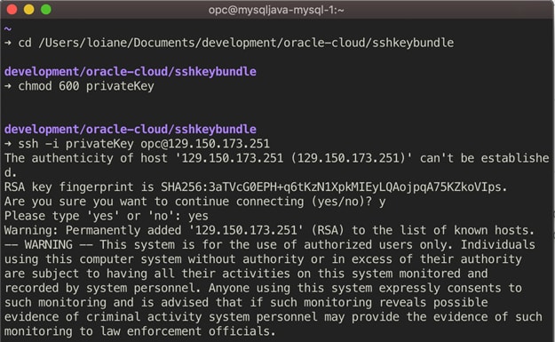 Criando Uma Inst Ncia Do Mysql No Oracle Cloud Conectando Se