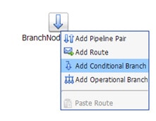 Conditional Branch