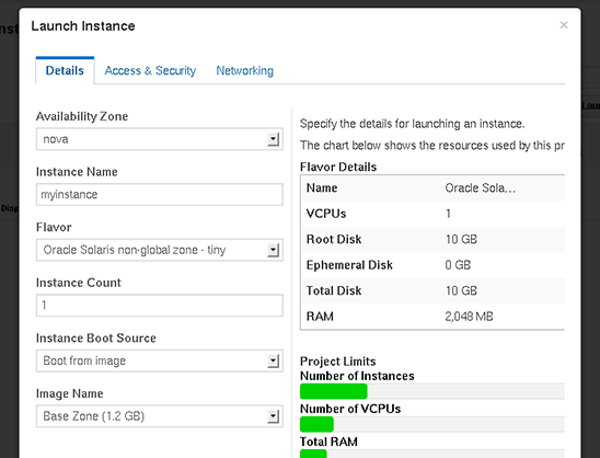 図9： Launch Instance画面