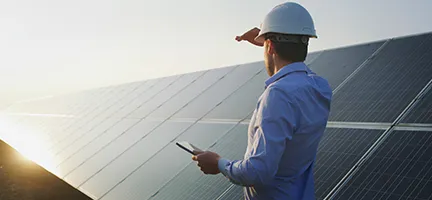 Japan’s Ministry of the Environment