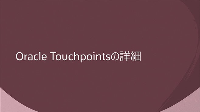 Oracle Touchpointsの詳細