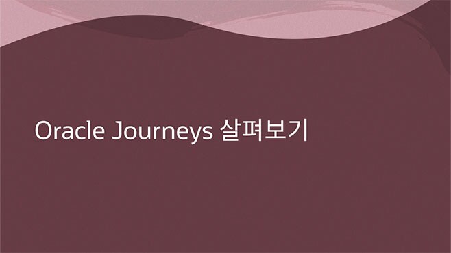 Oracle Journeys 살펴보기