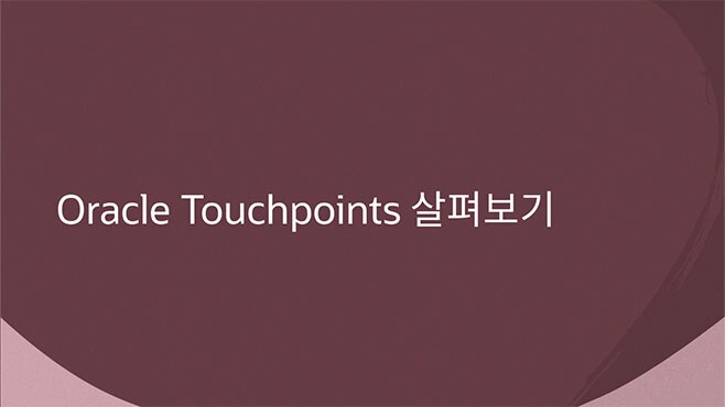 Oracle Touchpoints 살펴보기