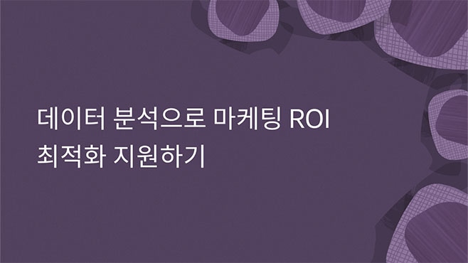 데이터 분석으로 마케팅 ROI 최적화 지원하기