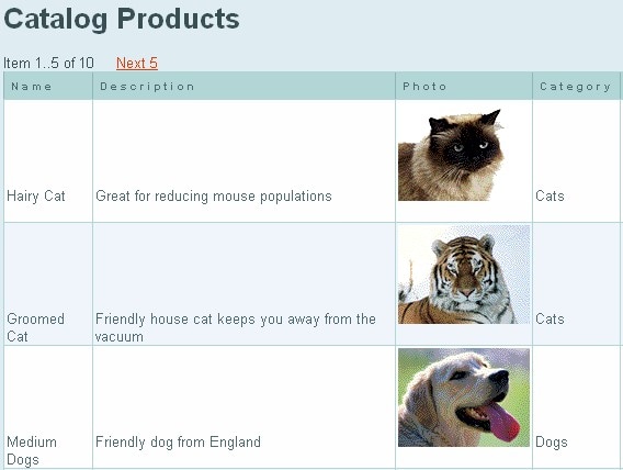 Figure 3. Catalog Products Page