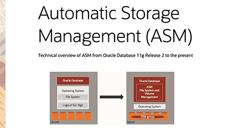 Oracle Automatic Storage Management Technical Brief (PDF)