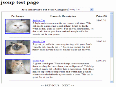 Figure 4: A Client-Side Mashup With the Pet Store Catalog Service