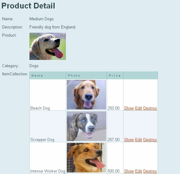 Figure 1. Medium-Sized Dogs in the Catalog