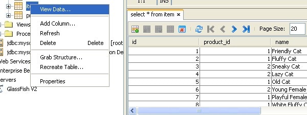 Figure 10. Viewing the Contents of a Table