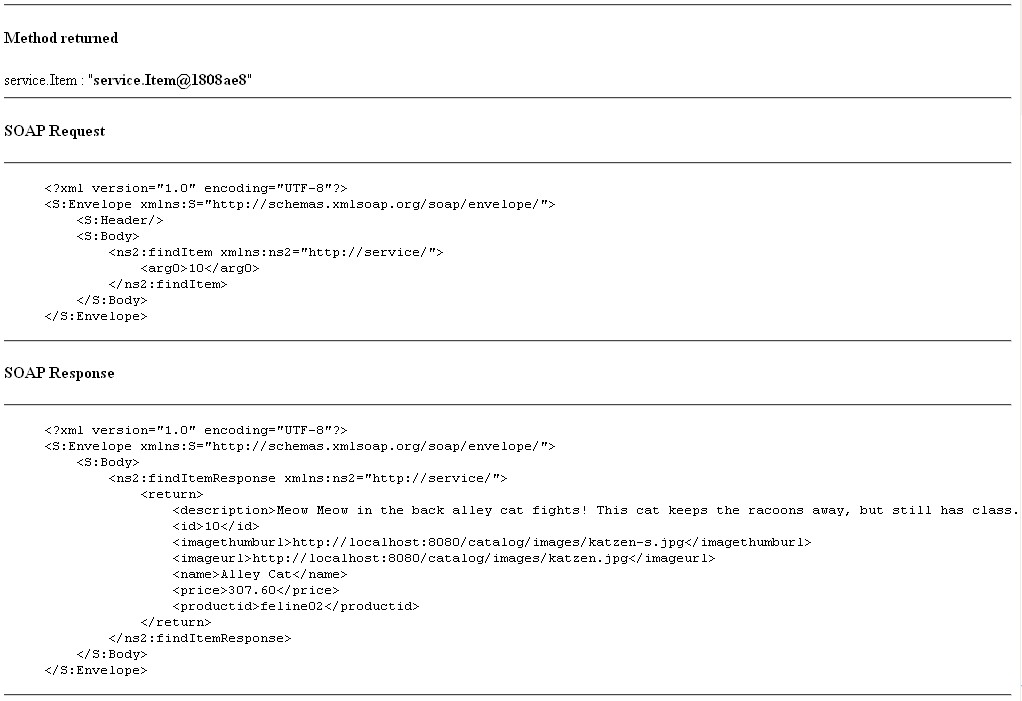 Figure 10. Testing a Web Service Method