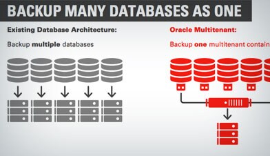 Oracle multitenant что это