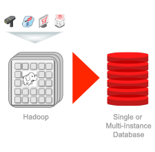 Open Source Languages and Oracle Database