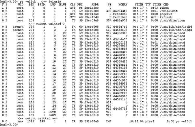 Figure 2: Output of ps(1) Command on Solaris Platform