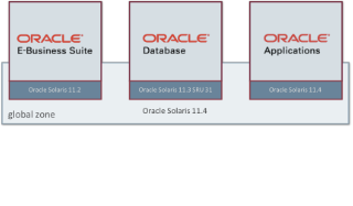 Oracle Solaris built in virtualization