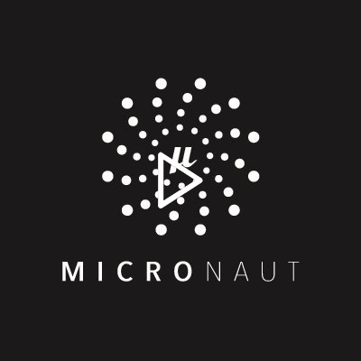 Micronaut video