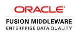 Oracle Enterprise Data Quality 徽标