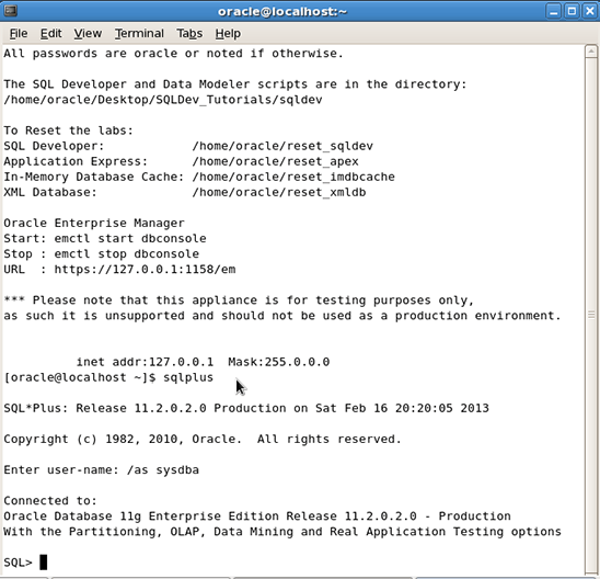 连接到虚拟机中预安装的 Oracle Database 软件