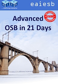 《EAIESB Advanced OSB in 21 days》图书封面