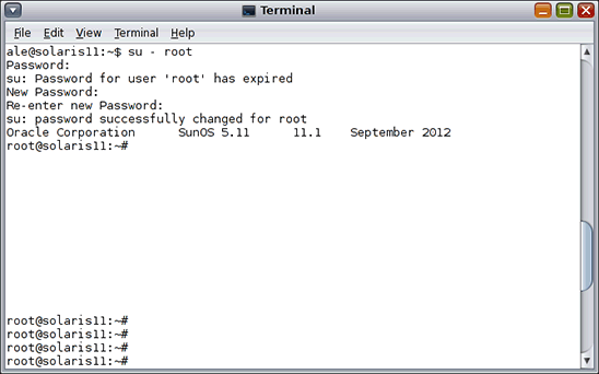 Creating a Root Password