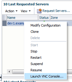 Launch VNC Console