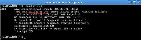 Verifying the guest IP address.