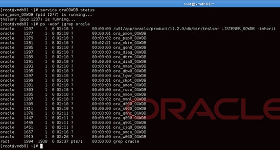  Verifying the status of Oracle Database and Oracle Listener.