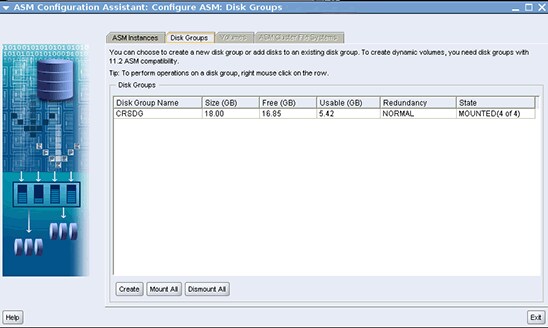 Figure 5. Disk Groups tab