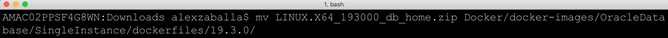 cOPY LINUX.X64_193000_db_home.zip