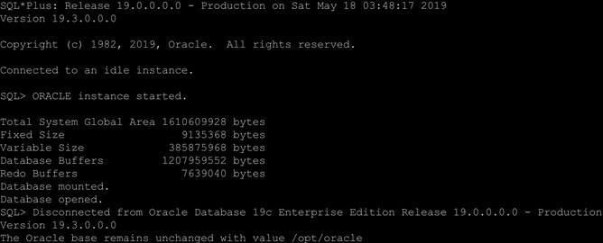 docker logs oracle19c