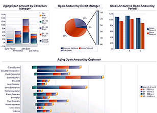 JD Edwards EnterpriseOne One View Reporting