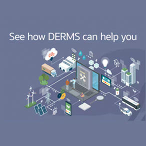 Oracle DERMS Solutions