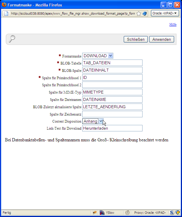 "Feinschliff" für den Download-Link