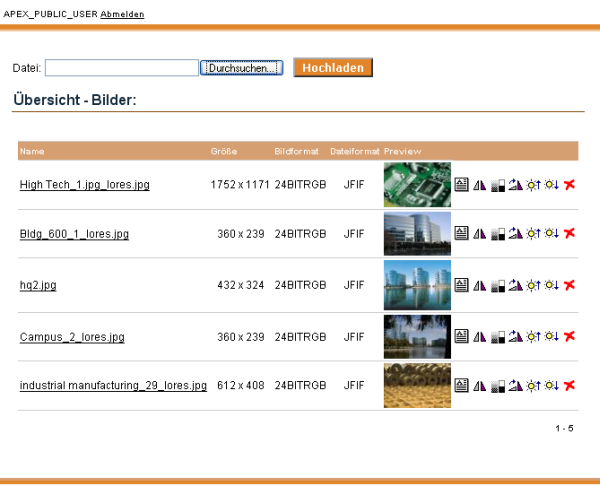 Anwendungsseite nach dem Hochladen einiger Bilder