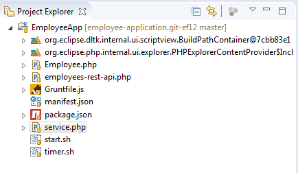Project Explorer window