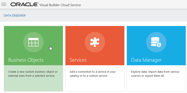 Business Objects in Data Designer