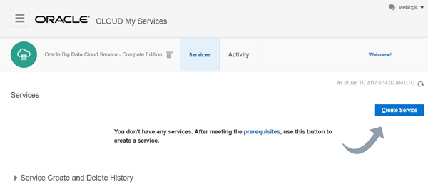 Oracle  Big Data Cloud Service - Compute Edition: Services page