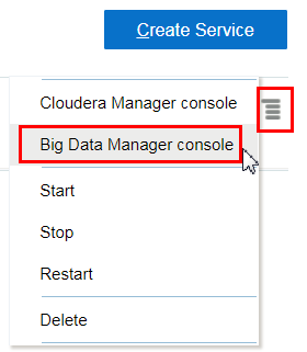 Description of the illustration 
                                select-bdm-console.png