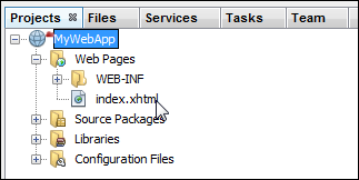 NetBeans IDE Projects tab with project