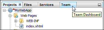 NetBeans IDE Team tab