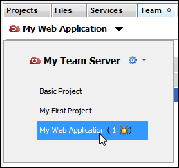 NetBeans IDE Team tab with project