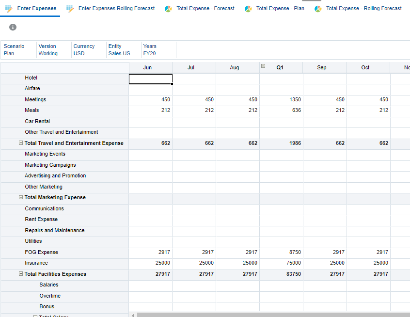 Expense Direct Entry