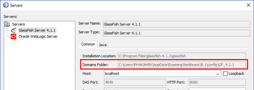 Glassfish Server properties with domain home field highlighted.