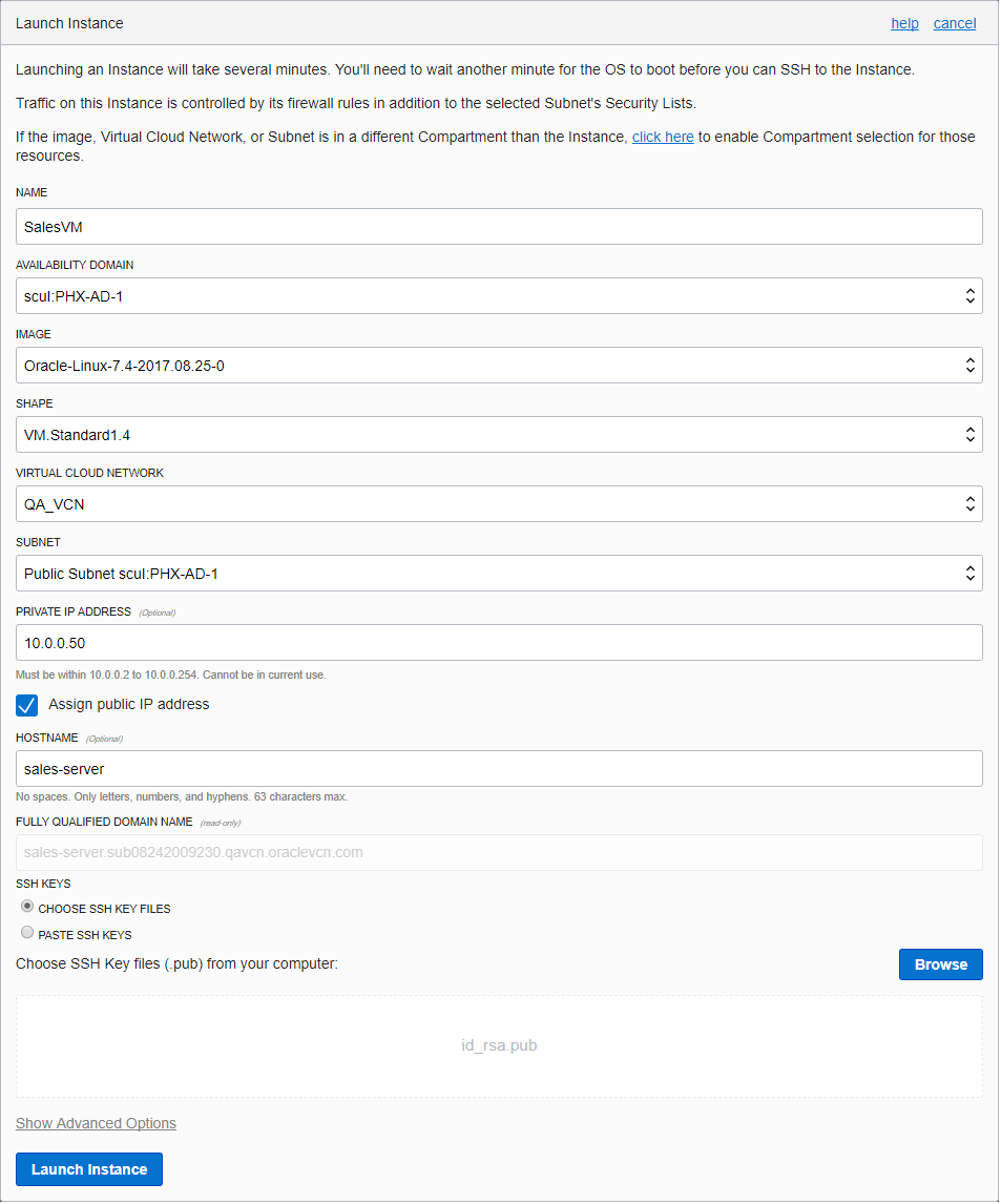 The Launch Instance Form complete with values.