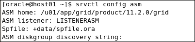 The SFPILE is +data/spfile.ora