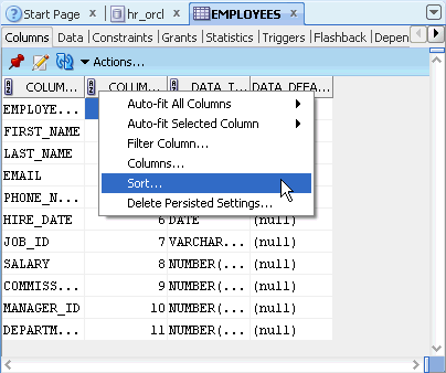 Oracle SQL Developer 2.1 New Features