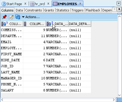 Oracle SQL Developer 2.1 New Features