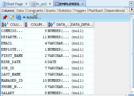 Oracle SQL Developer 2.1 New Features