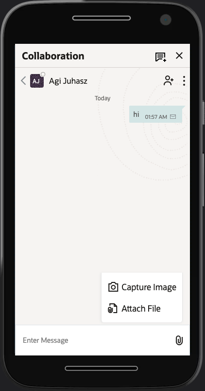 This screenshot shows the Capture Image option on mobile devices.