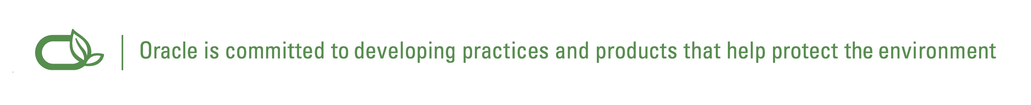 A special Oracle logo highlighting Oracle's commitment to developing practices and products that protect the environment. 