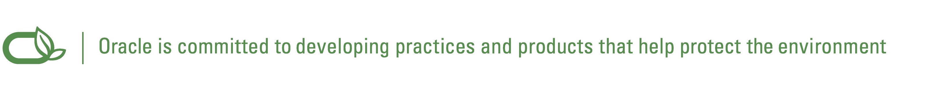 A special Oracle logo highlighting Oracle's commitment to developing practices and products that protect the environment.